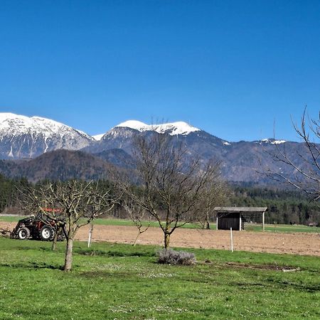 Apartma Ranc Luze Kranj Esterno foto