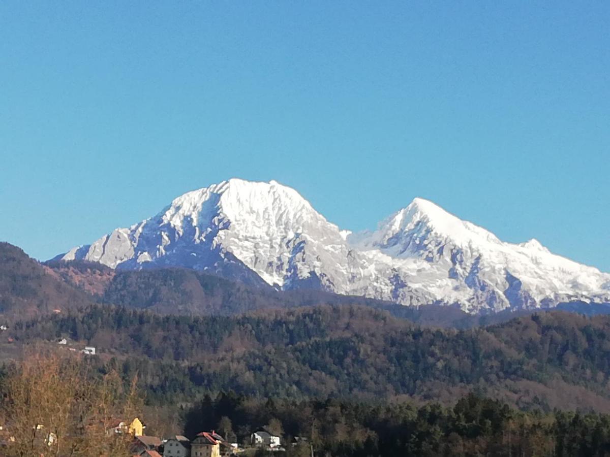 Apartma Ranc Luze Kranj Esterno foto