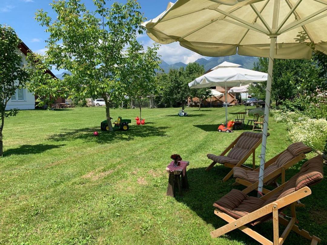 Apartma Ranc Luze Kranj Esterno foto
